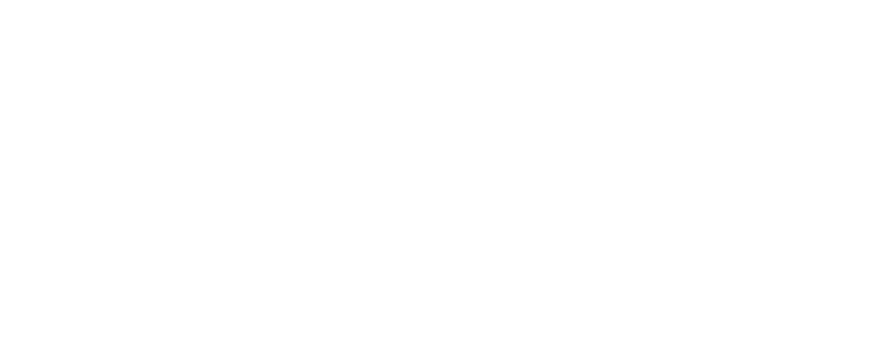 torres cpa logo in white