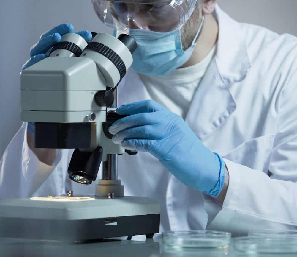Biologist carefully examining cell particles, carrying course of investigations